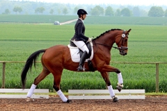 160514-Der Prinz u. Elisabeth Just