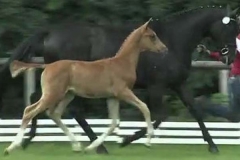 121006-Fuerst Jever Wallach v. Fuerst Romancier-0001