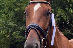 160729-Fuerst Jever Wallach v. Fuerst Romancier-0001