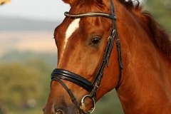 161002-Fuerst Jever Wallach v. Fuerst Romancier-0002