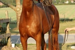 161002-Fuerst Jever Wallach v. Fuerst Romancier-0004