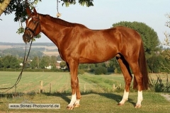 161002-Fuerst Jever Wallach v. Fuerst Romancier-0006