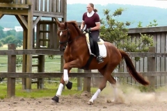 161029-Fuerst Jever Wallach v. Fuerst Romancier-0001