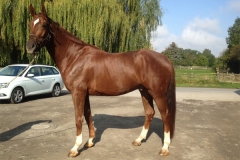 170521-Fuerst Jever Wallach v. Fuerst Romancier-0002