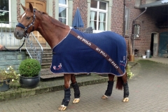 170928-Fuerst Jever Wallach v. Fuerst Romancier-0001