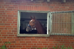 170928-Fuerst Jever Wallach v. Fuerst Romancier-0002