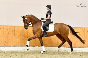 Miss Balou, Stute v. Bernay, geb. 20217