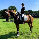 Miss Balou gewinnt Dressurpferdeprüfung Klasse L in Hüttenbusch 2023