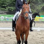 Der Prinz - erfolgreich bis Grand Prix