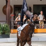 Voltigierpferd Fürst Jever mit Lukas Heitmann bei der U18 Europameisterschaft 2026 in Le Mans